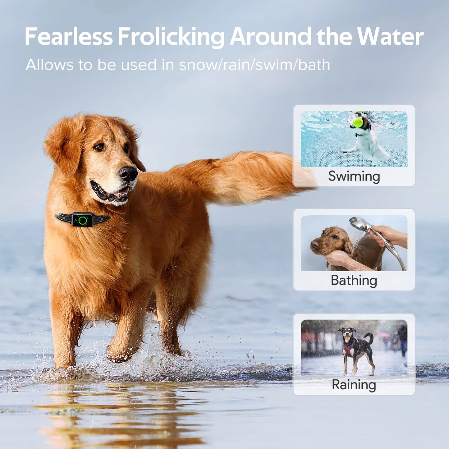 Dog Shock Collar 2 Dogs, Dog Training Collar with Remote, IPX7 Waterproof with 3 Training Modes, Suitable for All Breeds