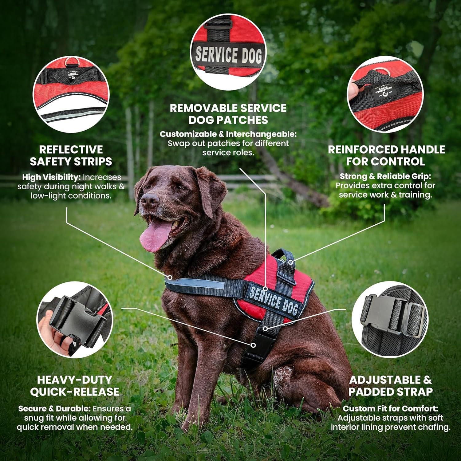 Service Dog Vest with Hook and Loop Straps & Matching Leash Set - Harnesses from XXS to XXL - Service Dog Harness Features Reflective Patch and Comfortable Mesh Design (Red, Small)