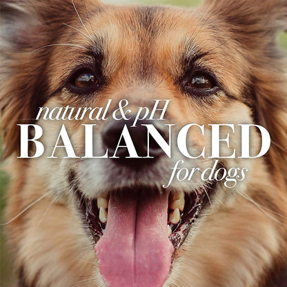 Multipurpose Dog Wipes with Honey, 98% Natural Origin Formulas, Hypoallergenic Dogs Wipe, Canine Cleaning Sheets for Paws and Butt, 3 Pk, 50Ct